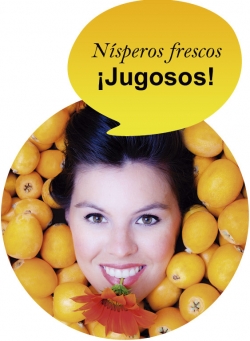 comprar nísperos para gazpacho de nísperos