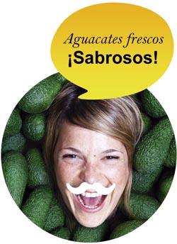 productos_aguacate